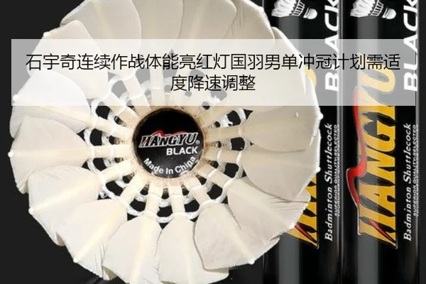 shi-yu-qi-lian-xu-zuo-zhan-ti-neng-liang-hong-deng-guo-yu-nan-dan-chong-guan-ji-hua-xu-shi-du-jiang-su-tiao-zheng-2-457.jpg